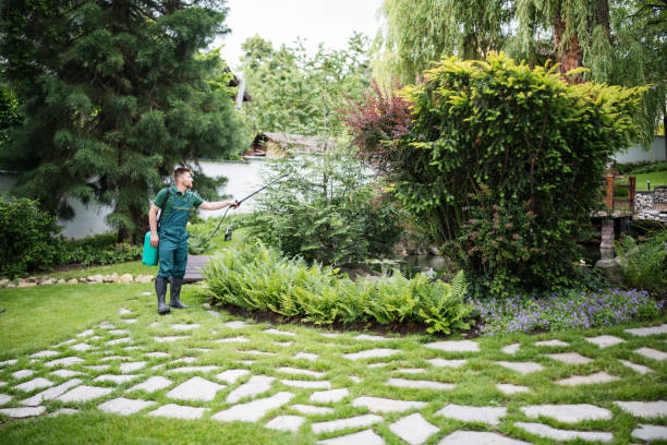 Best Best Pest Control Companies  in Untain Grove, MO