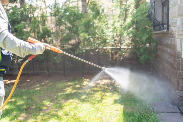 Trusted Mountain Grove, MO Pest Control Experts